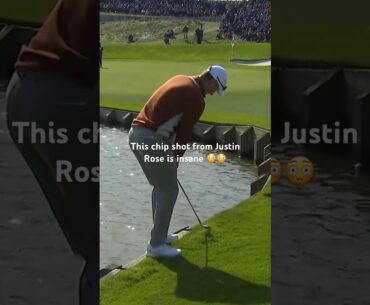 Incredible chip shot from Justin Rose 🔥 #golf #golfpro #golfshorts