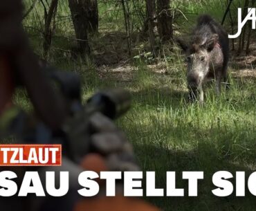 Hetzlaut: Schwarzwild Nachsuchen mit Chris Balke | JÄGER Hetzlaut