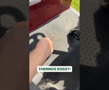 Thermos glizzies 💀 (via johnuscilla95 IG)