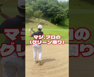 バンカー苦手なのにプロのグリーンみたいなところに打ってしまったゴルファーの末路#shorts  #ゴルフ #ゴルフラウンド #バンカーショット #バンカー