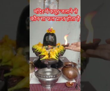 मंदिर में कपूर जलाने से कौन सा फल प्राप्त होता है#shivpurankatha #pradipmishraji#upay#shivupay