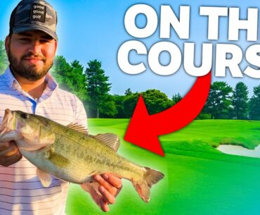 We Caught Monster Bass On A Golf Course!