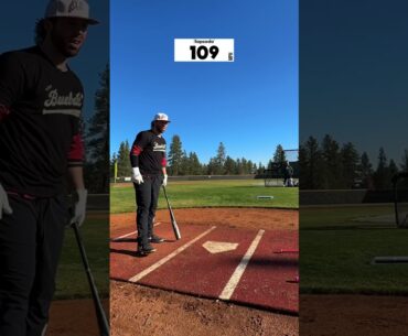 The MOST UNDERRATED BBCOR Bat #baseball