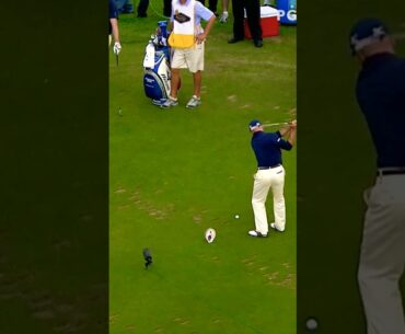 A perfect shot by Jonathan byrd 🏒 #golf #golfshots #sports
