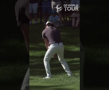 ⛳️ Can YOU chip like Min Woo Lee? #golf #shorts