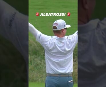 Charley Hoffman Albatross!!!
