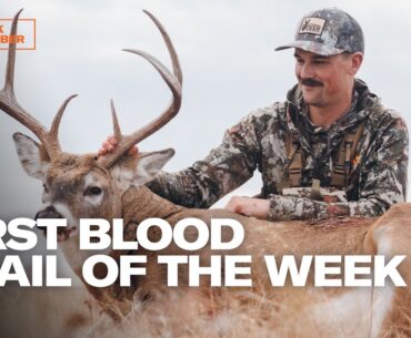 One Week in November | First Blood Trail of the Week
