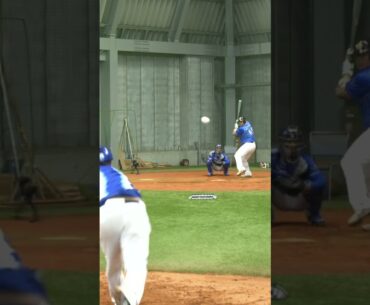 I FACED PRO PITCHER FROM JAPAN!