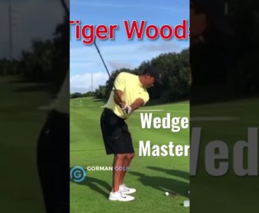 Tiger Woods 2017 wedge master on plane with full body rotation #perfect # pure #golfswing
