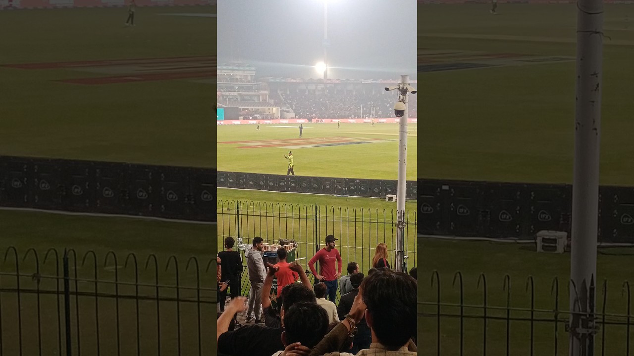 Rashid Khan field on Boundary #psl8 #lahoreqalandar #shorts Rashid Khan field on Boundary #psl8 #lahoreqalandar #shorts