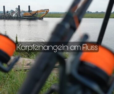 Karpfenangeln am Fluss / Fange ich den langersehnten Havel-Karpfen ?