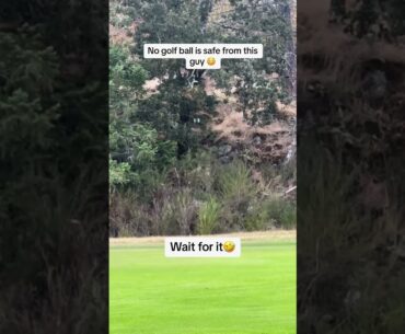 He’s a machine! 😂 (📹: Instagram/ parwars_golf)
