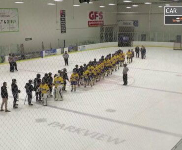 Homestead vs Carroll | Fort Wayne Amateur Hockey | SummitCitySports