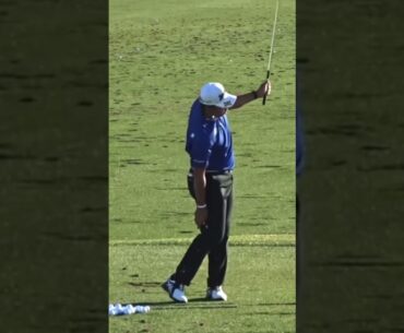 Hideki Matsuyama one armed golf swing is amazing! #golf #hidekimatsuyama #tomgillisgolf