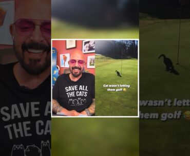 Get it, Cat! 🏌️‍♂️⛳️😹 #cats #golf #reaction