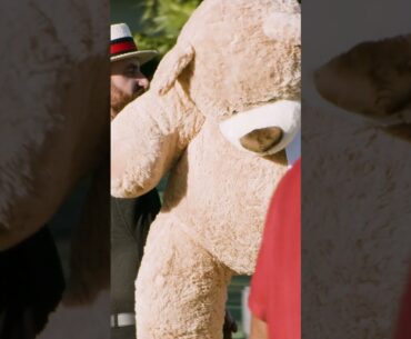 The Moment Tommy Fleetwood Won His Giant Bear  #teamtaylormade #shorts