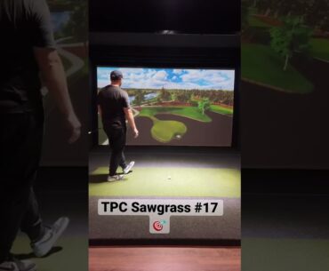 Island Green | TPC Sawgrass #17