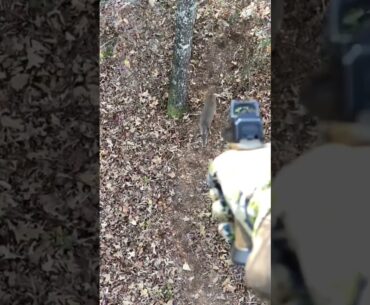 Pistol Headshot Whitetail - Zev 9mm #huntingshorts #shortsfeed