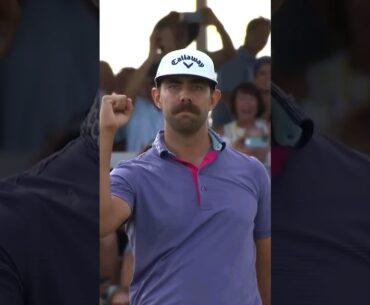 Erik van Rooyen EAGLE To WIN! #golf #eagle #golfswing #shorts
