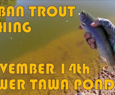 Urban Trout Fishing - Lower Tawa Pond  (Nov. 14th)