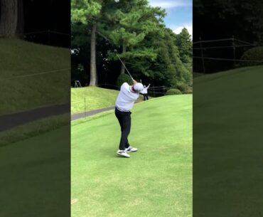 Young Han Song ソン・ヨンハン