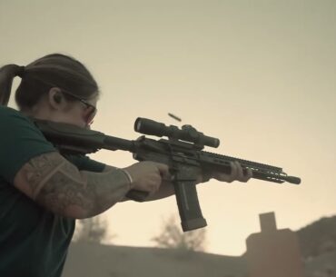 3 gun