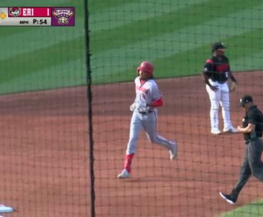 James Wood goes deep