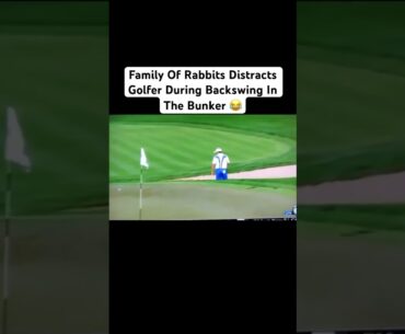 A golfer's nightmare: Rabbit confrontation mid-swing #golf #golfer #golflife #golfswing #shorts