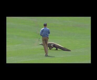 Top 10 Golf Animal Encounters
