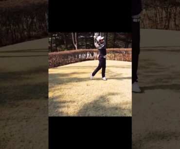 ソン・ヨンハン Young Han Song #ショーツ #ショーツ #subscribe