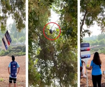 Golfer Joost Luiten Suffers Epic Meltdown as He Gets Three Clubs Stuck in a TREE in Amazing Video
