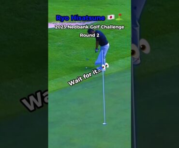 Ryo Hisatsune 🇯🇵 ⛳️ 2023 Nedbank Golf Challenge | Round 2 | Hole 12 | Par 3 #golf #golfhighlights