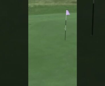 Detry missed Hole in One 🤔WN1 Sports #golfswing  #golf #shorts  #pga