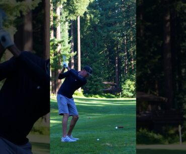 What club you hitting?  142 yards in the middle of the Redwood forest. #golf #golfcourse #golfer