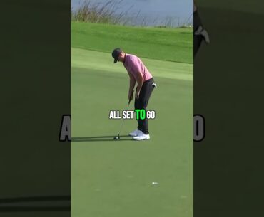 Unstoppable Playoff Performer  Taylor Montgomery's Magnificent Golf Journey