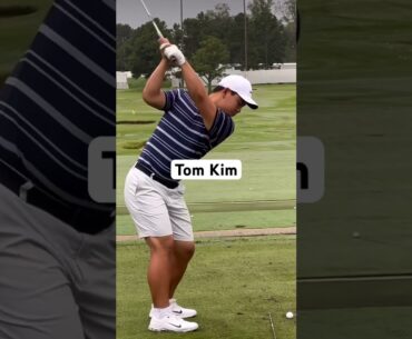 Tom Kim - Iron DTL #golf #golfswing #youtubeshorts