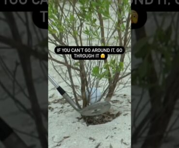 This golf shot was not kind to the bush 🫣