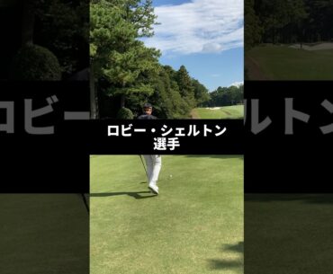 ロビー・シェルトン選手のドライバーショットのスイング