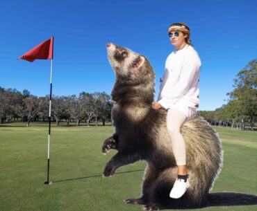 You’ve heard of elf on a shelf, now get ready for…