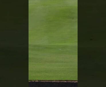 A narrow escape for Louis Oosthuizen at the 18th of the 2022 #dunhillchamps 🏌️‍♂️