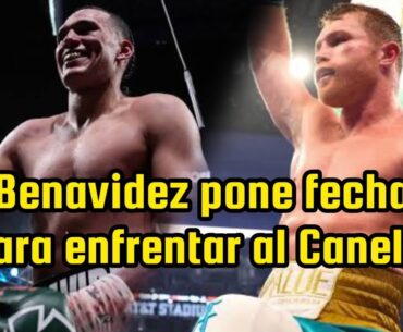 🔥 BENAVIDEZ PONE FECHA para enfrentar a Canelo