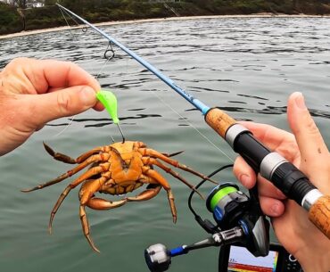 Whole Crabs Helped Catch My Personal Keepers Record!