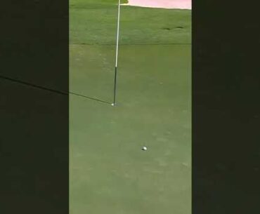Magical chip-in by Pablo Larrazábal at the 2019 #dunhillchamps ⛳️