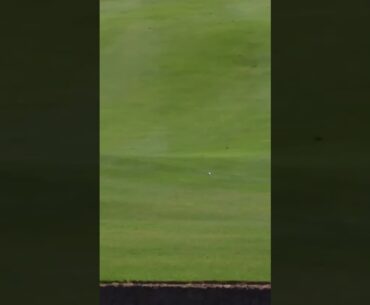 How lucky was this shot from Louis Oosthuizen at the 2022 #dunhillchamps