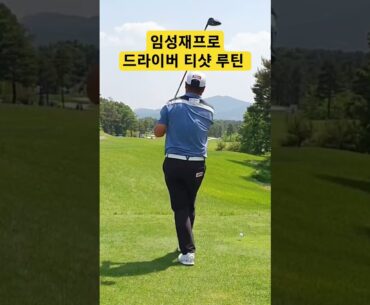 임성재 드라이버 티샷 루틴 #골프 #드라이버 #티샷
