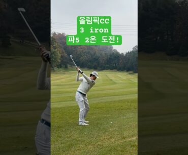 임성재 선수도 다녀간 올림픽 CC 연습하기 너무 좋아요! #골프 #아마추어골퍼 #korean #golfswing