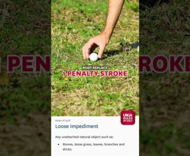 What's the difference between loose impediments and movable obstrucitons?