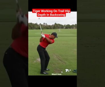 Tiger Woods Swing Tips #golf #shorts