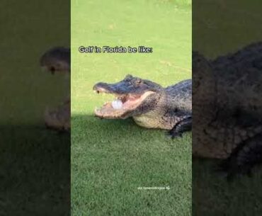 Gotta play it as it lies