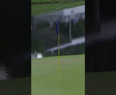 CRAZY SLAM DUNK HOLE-IN-ONE ⛳️ #golf